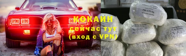 первитин Новодвинск
