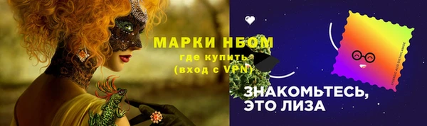 первитин Новодвинск