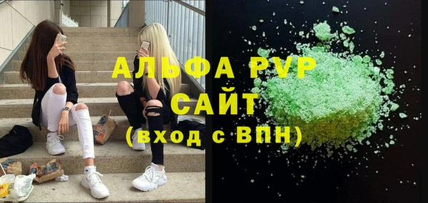 дживик Новозыбков
