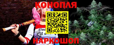 дживик Гай
