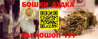 2c-b Кингисепп