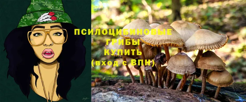 блэк спрут сайт  Корсаков  Псилоцибиновые грибы Cubensis  где продают  