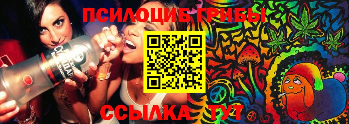 Галлюциногенные грибы ЛСД  купить закладку  Галлюциногенные грибы прущие грибы  Корсаков  Вход с VPN 