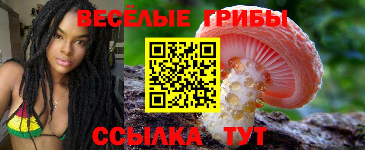 МЕФ Корсаков